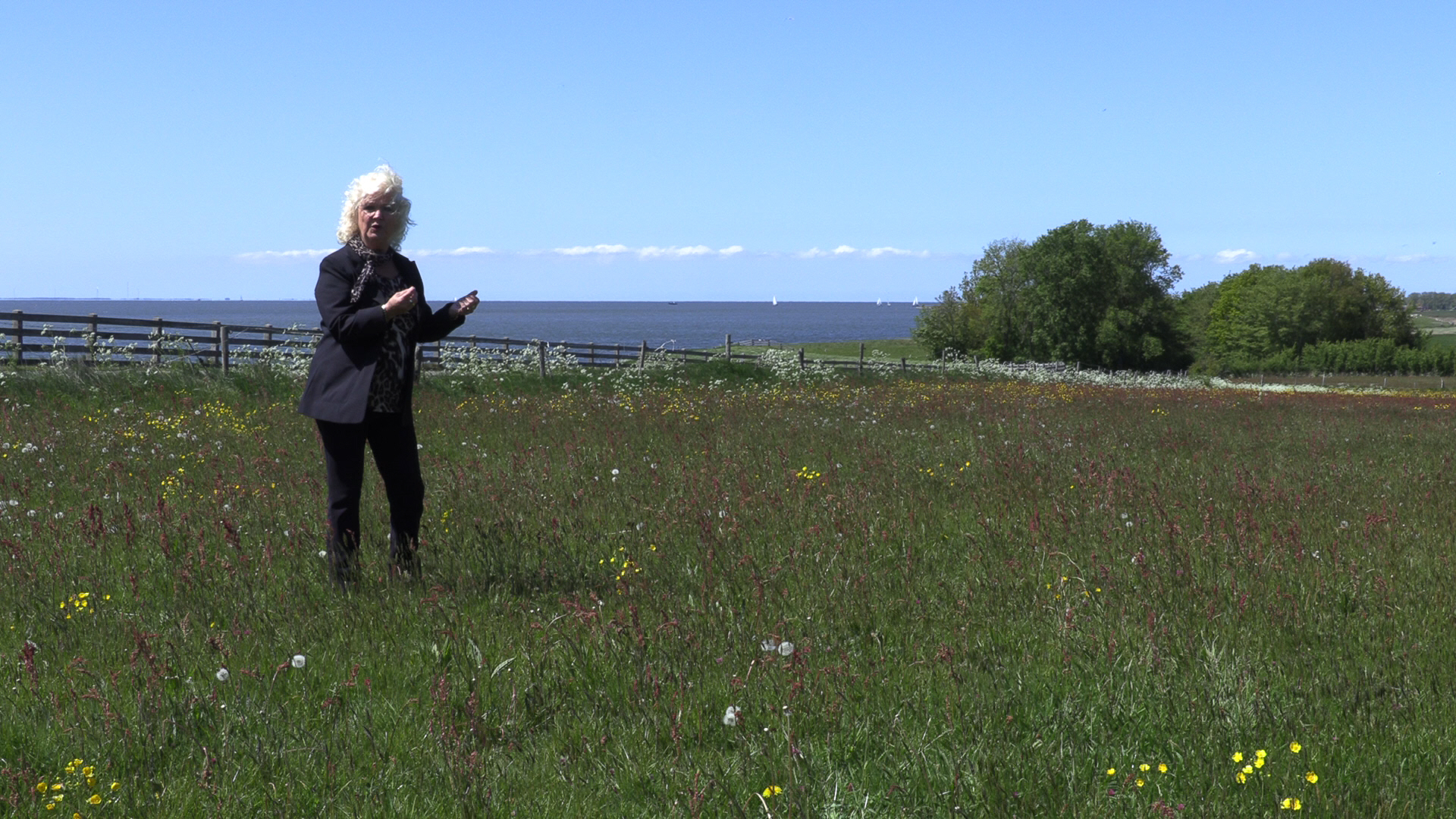 Videoclip Griet Wiersma - Myn Fryske lân